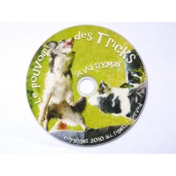 DVD : Le Pouvoir des Tricks