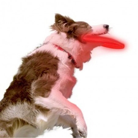 Frisbee Lumineux pour chiens