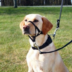 Harnais de Dressage Top Trainer pour chiens