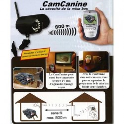 Caméra de surveillance des chiens pour chenil ou nurserie - CamCanine