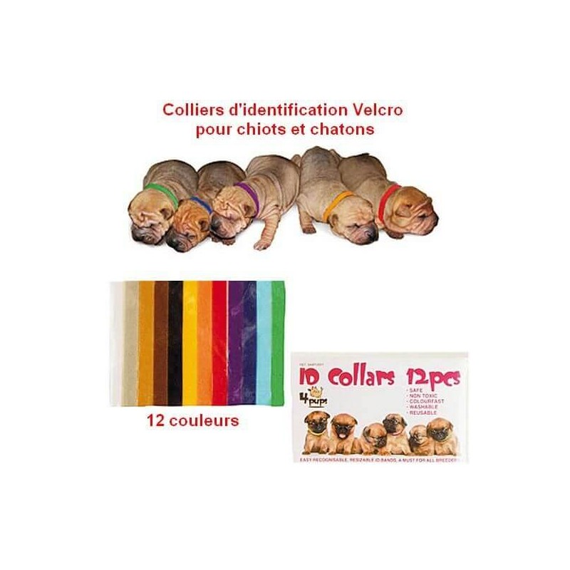 Collier identification Velcro pour chiots et chatons