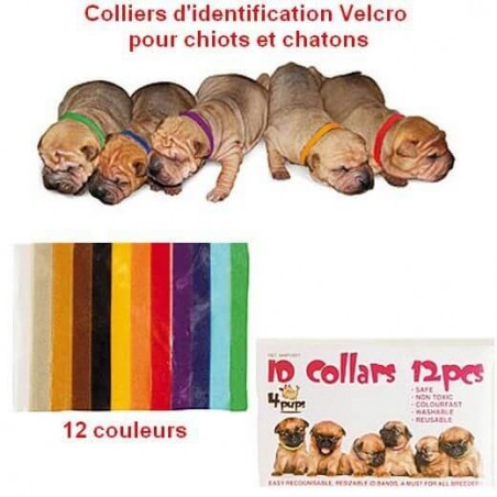 Collier identification Velcro pour chiots et chatons