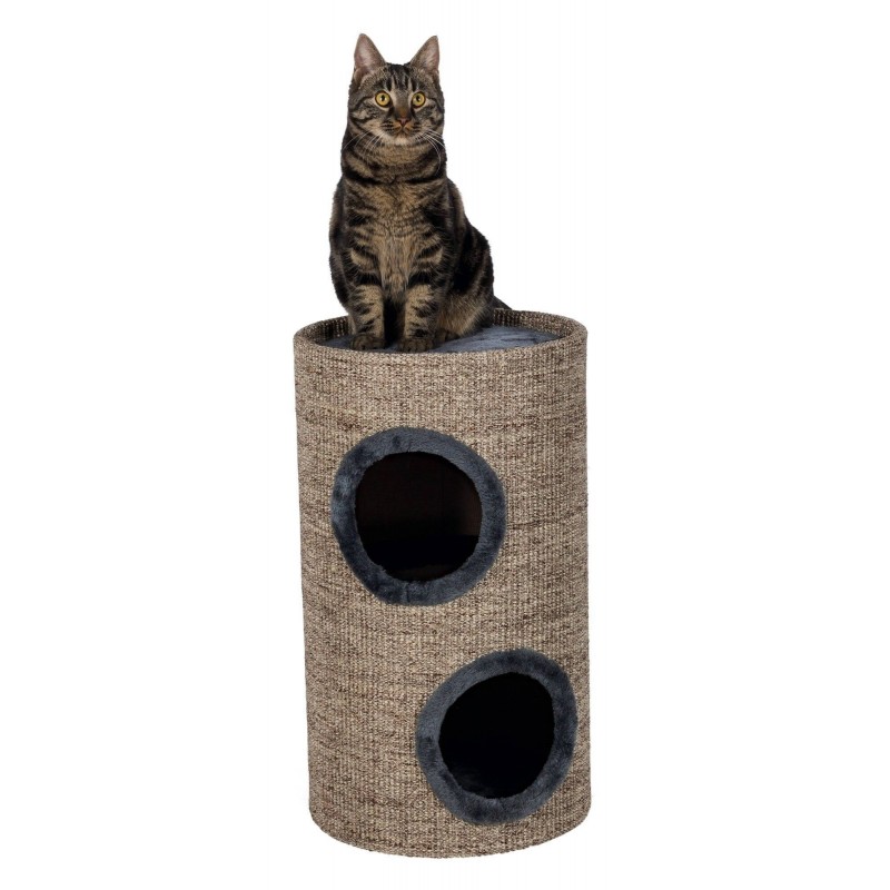 Cat Tower Adrian 