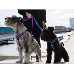 DOG COPENHAGEN : Harnais confort WALK AIR