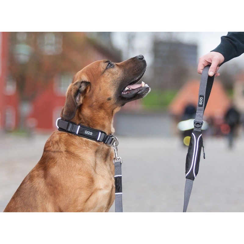 DOG COPENHAGEN : Collier Urban Explorer