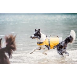 HURTTA Gilet de sauvetage flottant life savior pour chien