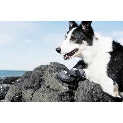 HURTTA Outback bottines anti-glisse en softshell pour chien
