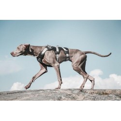 HURTTA - harnais de randonnée trail noir pour chien