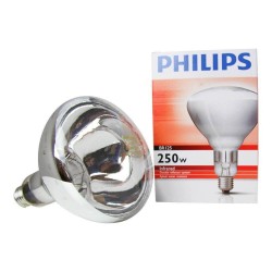 Ampoule Phillips 250W