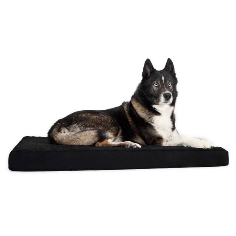 BACK-ON-TRACK : Matelas pour Chien