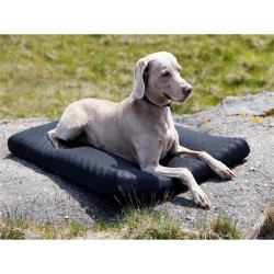 BACK-ON-TRACK : Matelas pour Chien